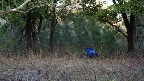 Abandoned Blue Garbage Trash Can Waste in Overgrown Forest Park Stock Footage 301490345