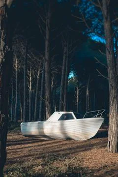 Abandoned boat under the pine forest Stock Photos