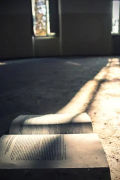 Abandoned Book Foto stock
