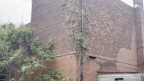 Abandoned Brick Building in Cairo, Illinois. Stock Footage 343801156