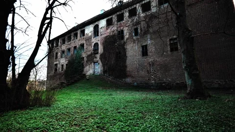 Abandoned Brick Building in Forest Stock-Footage 333236080