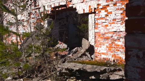 Abandoned Brick Building Ruins with Trees Growing Inside Stockbeeldmateriaal 336688194