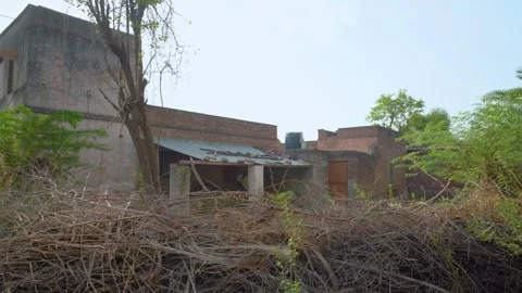 Abandoned Brick Building with Vegetation Stock Footage 322158592