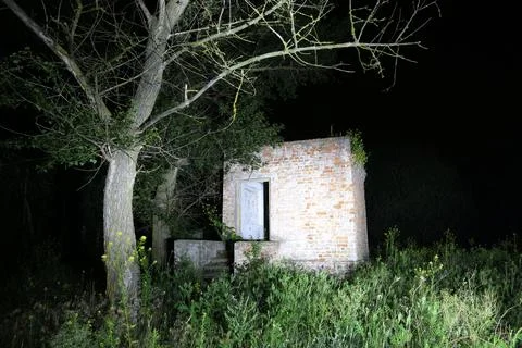 Abandoned brick structure with an open door surrounded by overgrown vegetat.. Fotos de archivo