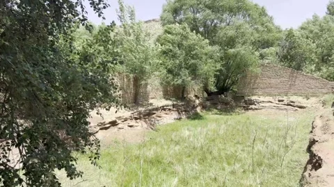 Abandoned Brick Wall Ruins Surrounded By Lush Green Trees And Grass Stock Footage 333577646