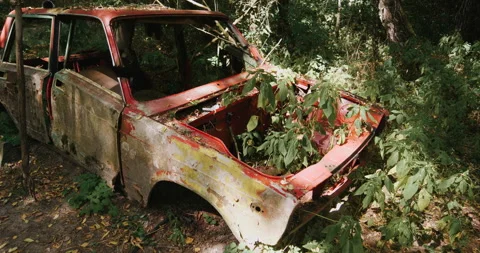 Abandoned broken car in the woods Stock Footage 138992184