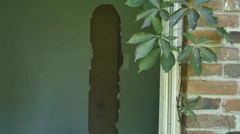 Abandoned broken down house Stock Footage 41295505