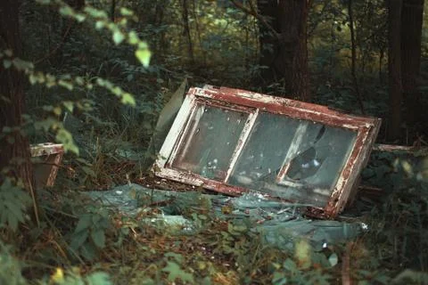 Abandoned broken windows in the forest. Stock Photos