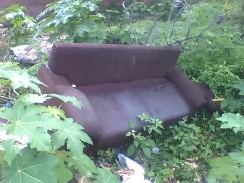 Abandoned brown sofa in the middle of a vacant lot, a gecko lives there Stock Footage 161209184