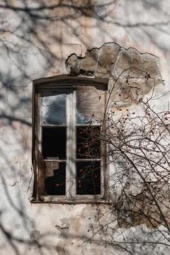Abandoned building with a broken window surrounded by tangled branches in late Stock Photos