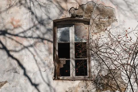 Abandoned building with a broken window surrounded by tangled branches in late Stock Photos