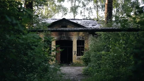 An abandoned building can be seen among the paths overgrown with foliage Stock Footage 337378095