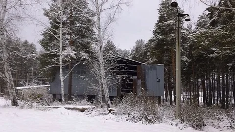Abandoned building in the forest Stock Footage 82734865