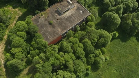 Abandoned building in the forest Stock Footage 111246044