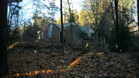 Abandoned building in the forest Vídeos de archivo 164093250