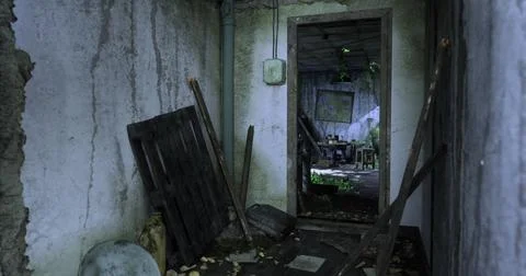 Abandoned building interior with overgrowth and debris in a dilapidated room Ilustración de archivo
