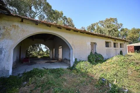 An abandoned building in poor condition is surrounded by green vegetation, with Fotos de archivo