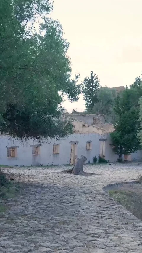 Abandoned building surrounded by trees in a rustic village setting Stock Footage 294963902