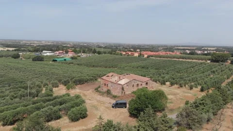 Abandoned building in vineyard Vídeo Stock 197631645