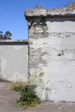 Abandoned Buildings Stock Photos