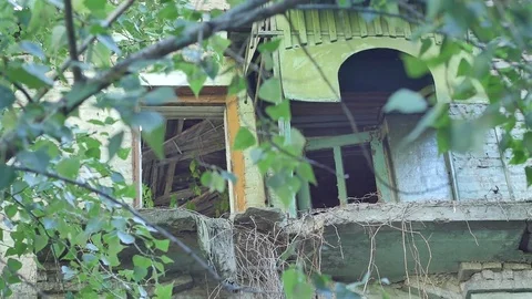Abandoned Buildings View Through Tree Branches Sad Picture of the Balconies Stock Footage 71641912
