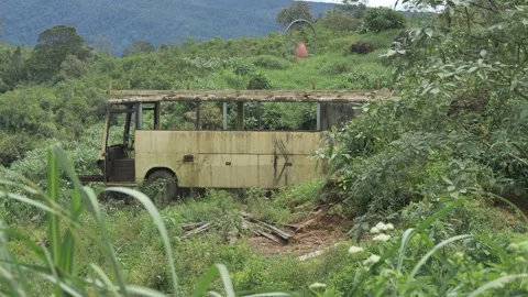 The abandoned bus in the wild. Stock Footage 274434758