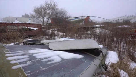 Abandoned C-47 Stock Footage 239446628