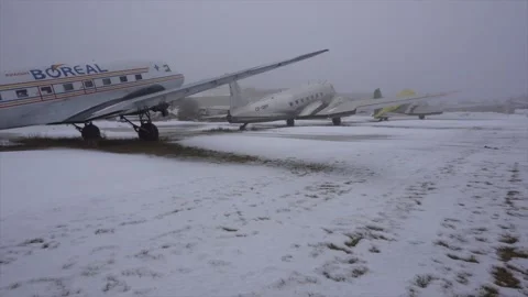 Abandoned C-47 Stock Footage 239450002