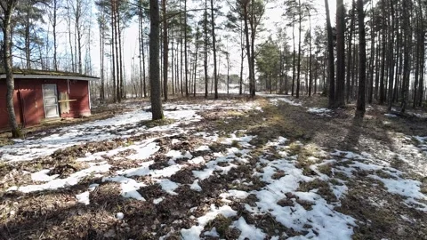 Abandoned-cabin-and-forest-path-slow-pan-left-008 Stock Footage 330762781