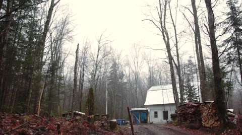 Abandoned Cabin in Forest Winter Stock Footage 44302980