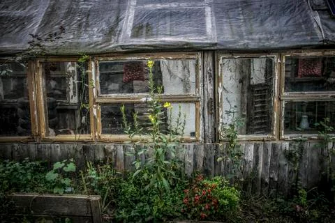 Abandoned cabin Stock Photos