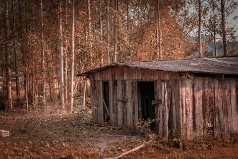 Abandoned cabin Stock Photos