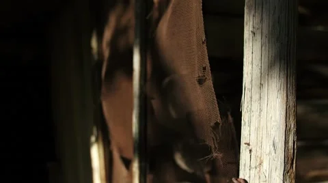 Abandoned cabin screen tilt Видео 54557146