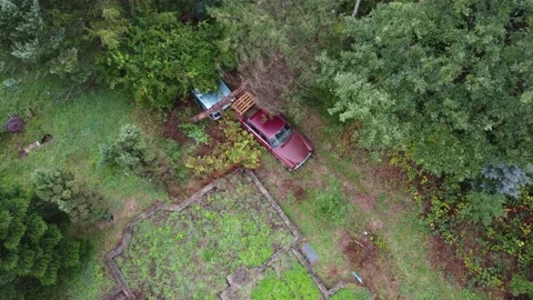 Abandoned car in the forest Stock Footage 220632370