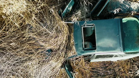 An abandoned car in the middle of a field Stock Footage 141997929