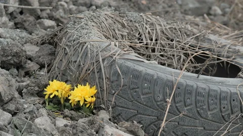 Abandoned Car Tire Stock-Footage 107512189