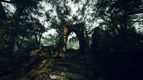 Abandoned Castle in Forest Vidéo 304468833