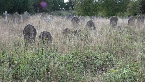 Abandoned Cemetery Stock Footage 317202189