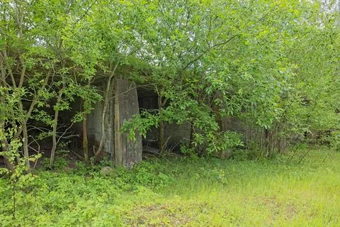 Abandoned, concealed military structure. Stockfoto's