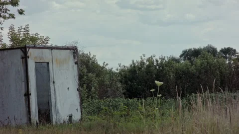 Abandoned Concrete Block in Nature with Trees Stock Footage 135389697