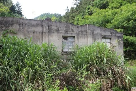 Abandoned concrete wall with small window framed by tall grass and dark bri.. Stock Photos