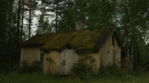 Abandoned cottage Stock Footage 49155757