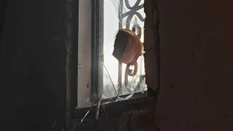 An Abandoned Cracked Window with an Intricate Wrought Iron Design and Unique Vídeo Stock 314574264