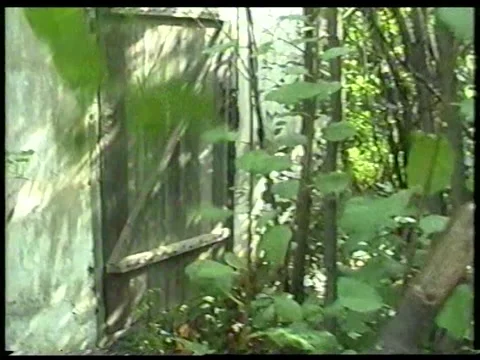 Abandoned Dacha Stock Footage 344380865