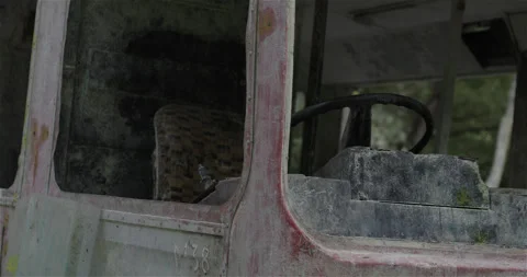 Abandoned Derelict Corroded Bus In Forest Vídeos de archivo 312499878