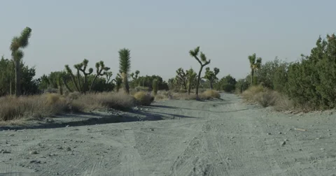 Abandoned desert in Joshua Tree Video stock 54981385