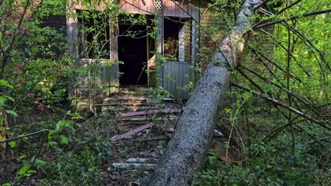 Abandoned dilapidated building in a mountain forest Vídeos de archivo 307935409
