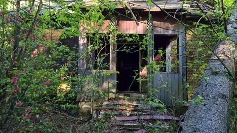 Abandoned dilapidated building in a mountain forest Vídeos de archivo 307935465