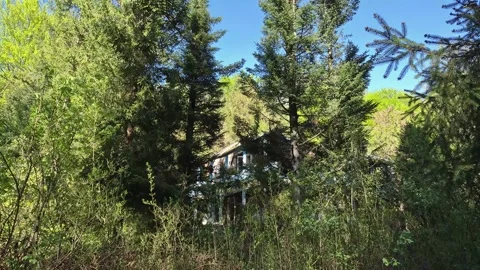 Abandoned dilapidated building in a mountain forest Vídeos de archivo 307935487
