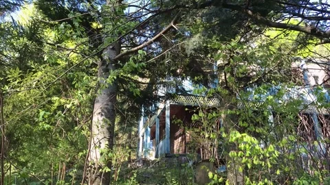 Abandoned dilapidated building in a mountain forest Vídeos de archivo 307935622